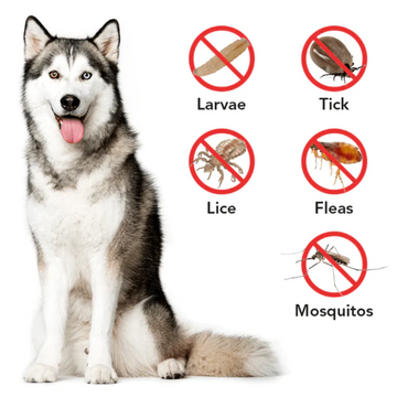 Npopew™ Natural Anti-Flea, Tick, & Mosquito Collar (Safest 8+ Months Protection)