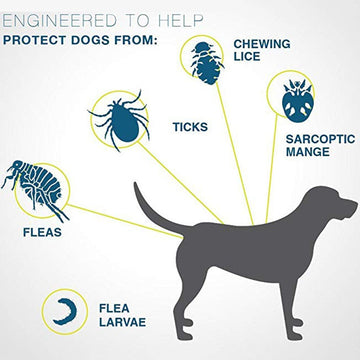 Npopew™ Natural Anti-Flea, Tick, & Mosquito Collar (Safest 8+ Months Protection)